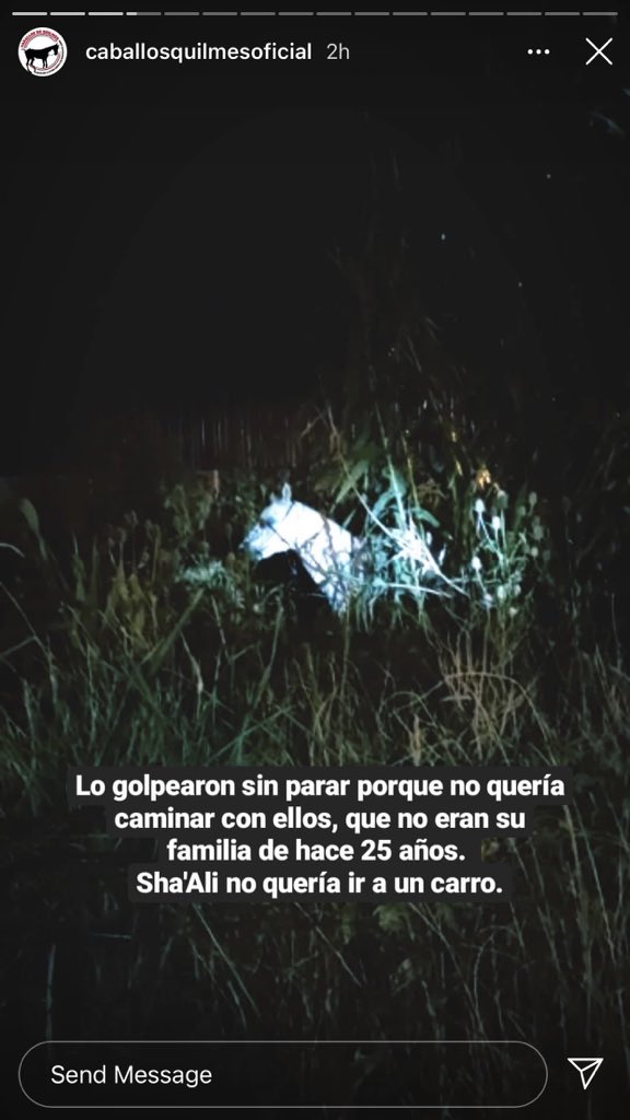 ZevrnjaAgustina's tweet photo. Esto tiene que terminar https://t.co/fudaZVIj17