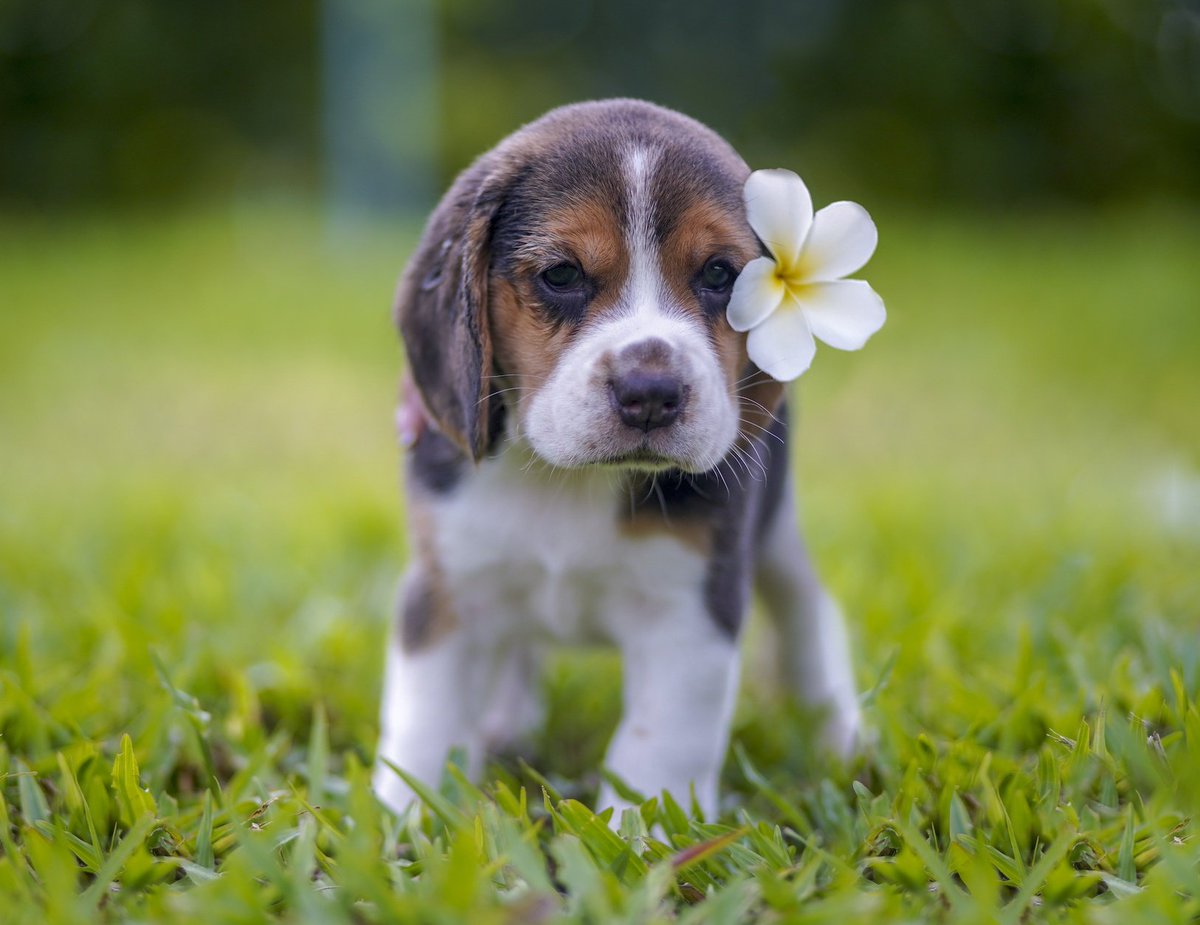 tinygyul's tweet image. #한결 #HANGYUL ♡