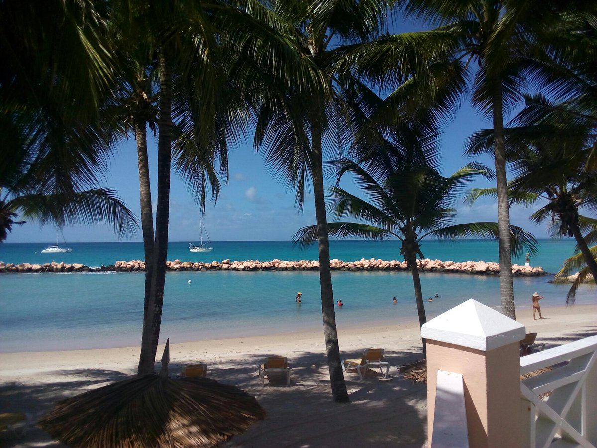 Coco Reef - Tobago tweet media