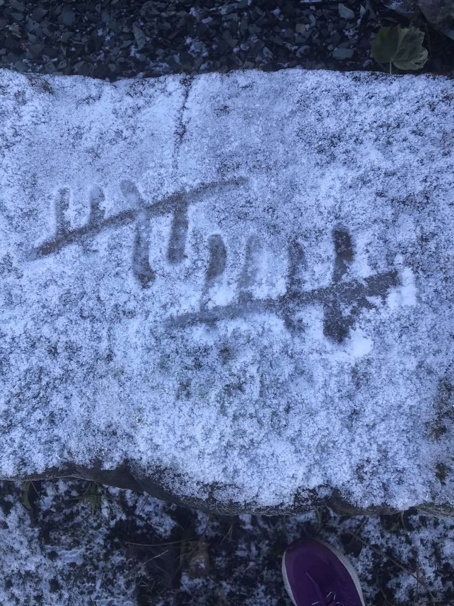candswalton's tweet photo. #grtwrunuary 3, found a use for snow and ice whilst doing some reps! https://t.co/nAGHMemcxE
