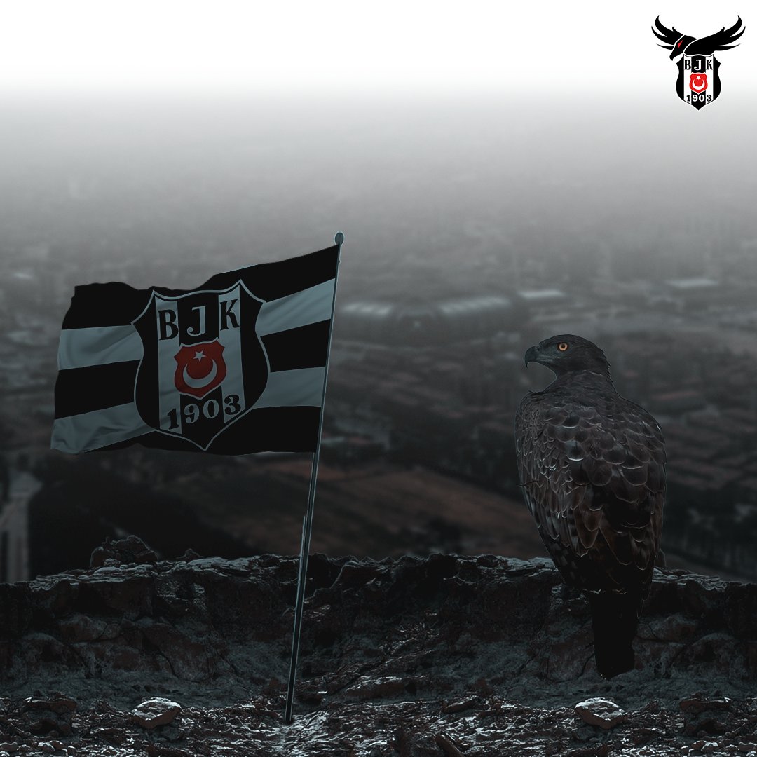Zirvedeyim,sesiniz duyulmuyor.🦅🤫#Beşiktaş
