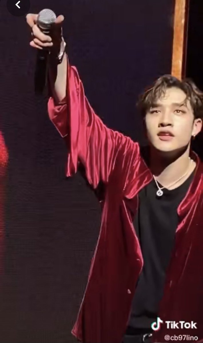 how bang chan looks in real life:a thread !