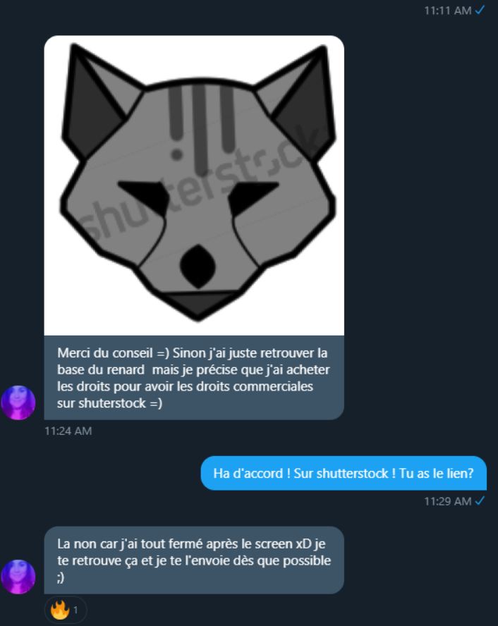 Après un premier contact établis entre l'une des artiste et Skyleen, cette dernière prétends alors avoir trouvé son design (qu'elle qualifie d'authentique sur son site Etsy) suite à une recherche sur internet. Elle aurait soit disant acheté les droits via Shutterstock.