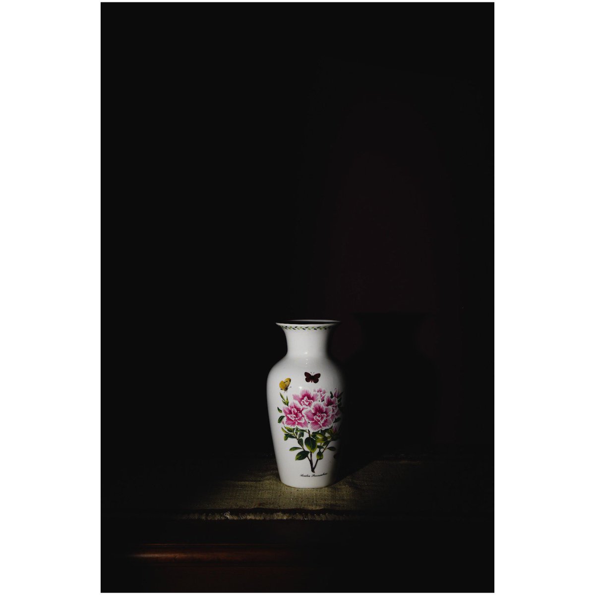 miss_maplewhite's tweet photo. The vase of flowers

#dried #lastday #empty

#PhotographyIsArt https://t.co/7RRJSJywKd
