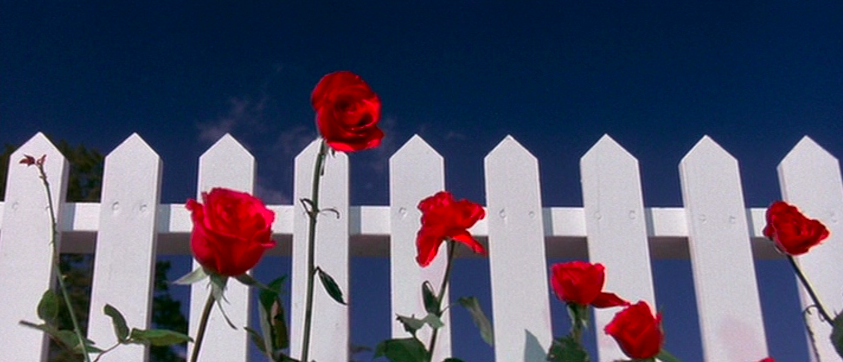 LostInFilm tweet picture