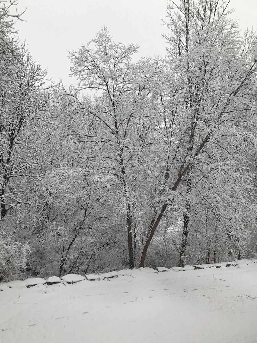 Stellar Division tweet media