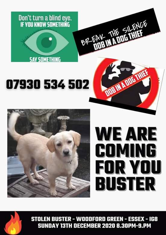 THANK YOU to everyone who has contacted us. Investigation is on going by Metropolitan Police Service. 

KEEP SHARING - KEEP POSTING - KEEP TALKING

Metropolitan Police Service
#stolenbuster
#woodfordgreen
#essex
#PetTheft
WE WONT STOP SEARCHING 🐾