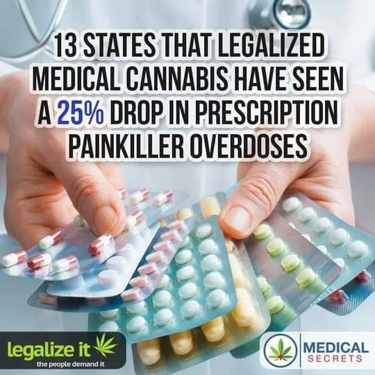 CannaWorld tweet media