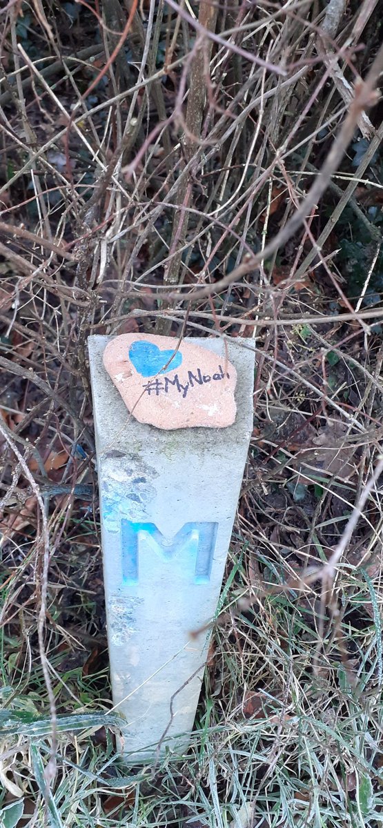 Saw this little stone on the marker for the Road Bowls at Navan Fort Road in Armagh. #MyNoah #NoahsArmy 

The truth will out!!