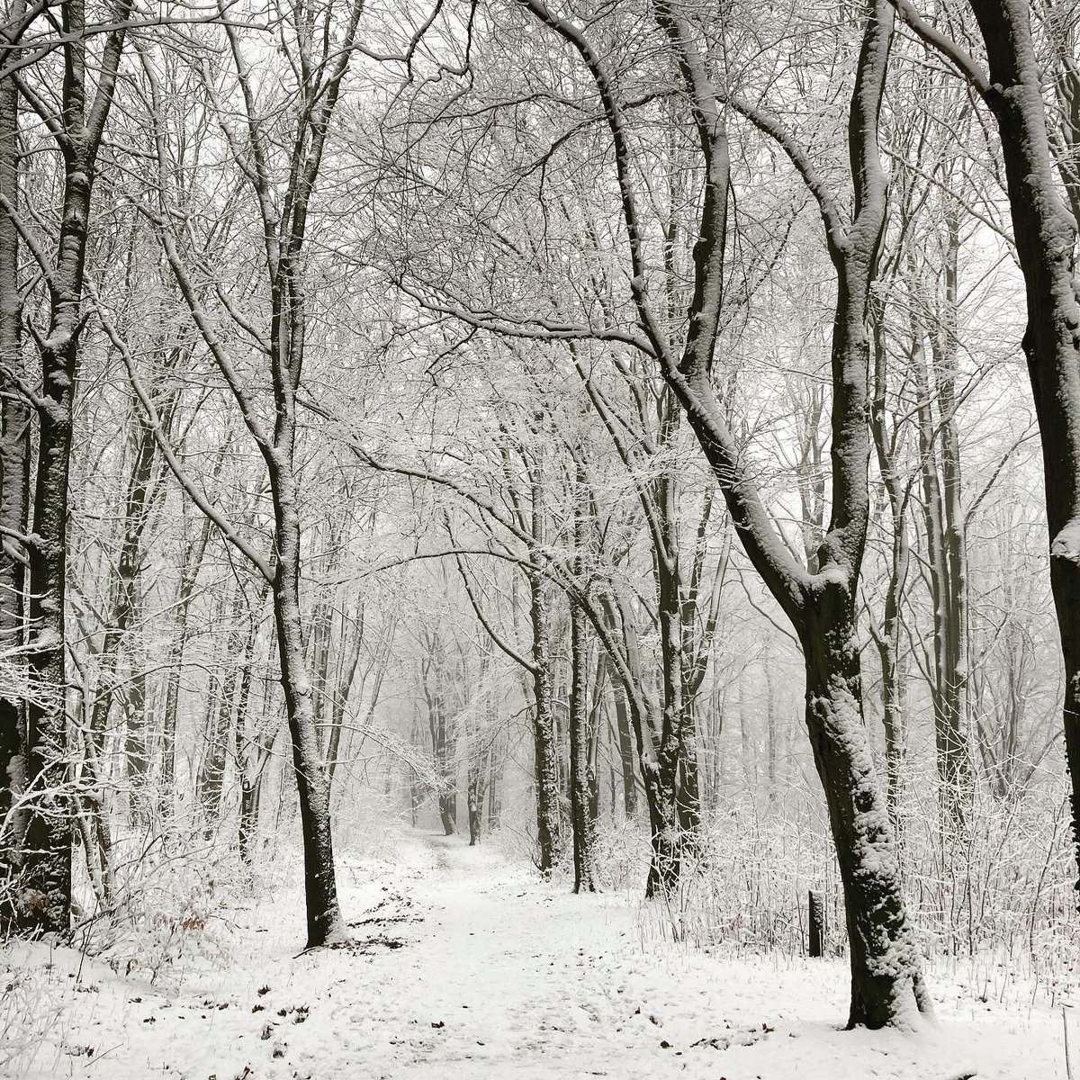 klugelars's tweet photo. Den ersten #Schnee gleich mal für einen #Winterspaziergang auf dem #Pfaffenberg genutzt. #HohensteinErnstthal https://t.co/wn0ing0Rch