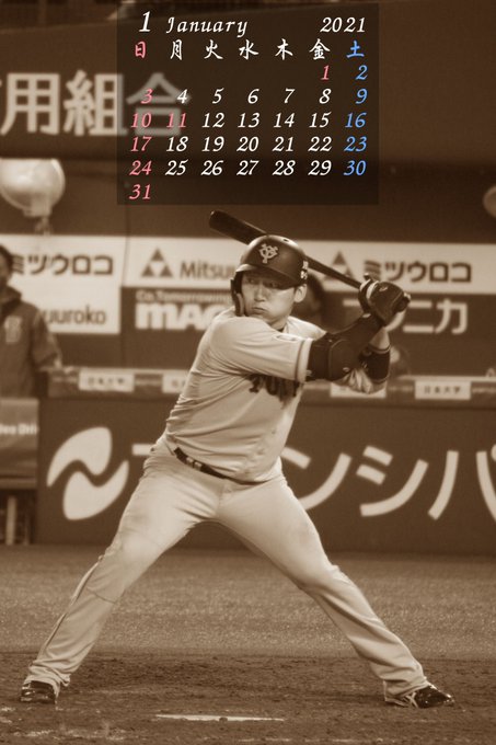 癌患者が撮影したスポーツ写真 Mmk39sports カレンダー の検索結果 Twilog
