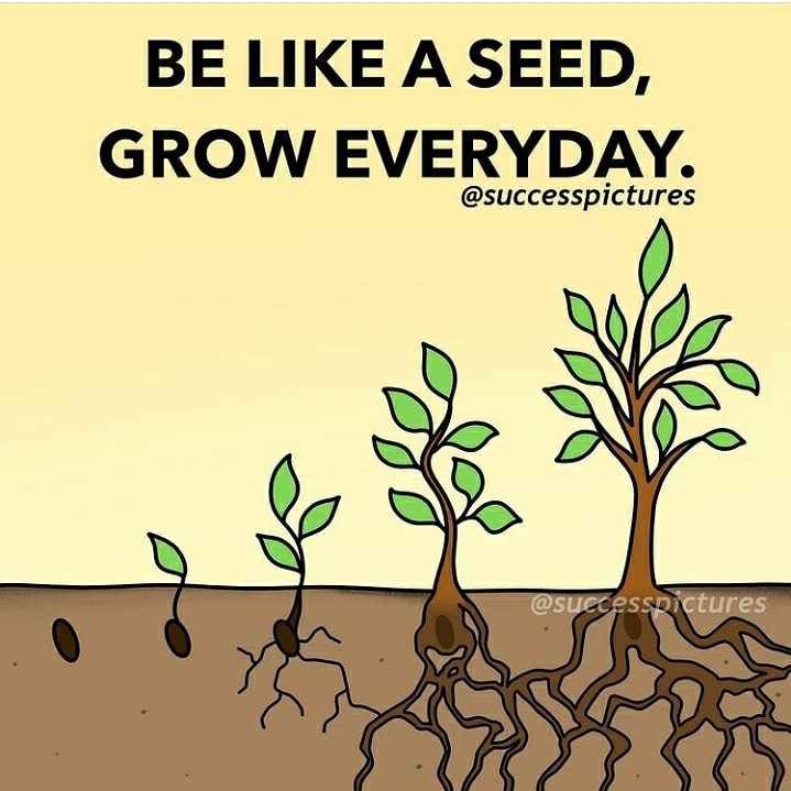 succespicture's tweet image. 