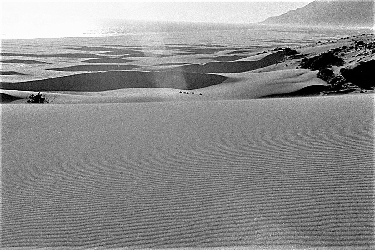 1981'de,üniversitede öğrenciyken, ilk kez böyle gördüm #Patara kumsalını.. Kumul önleme ağaçlandırması yapılmamıştı henüz. Sonsuzdu...Ve beyazdı umut kadar.. Üstünde ayağımın izi kaldı diye utanmıştım..