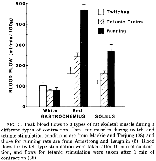 5/ First, there is immediate swelling (within minutes of exercise).Not surprisingly, blood flow to exercising muscle increases dramatically to meet metabolic demands. https://pubmed.ncbi.nlm.nih.gov/3318504/ 