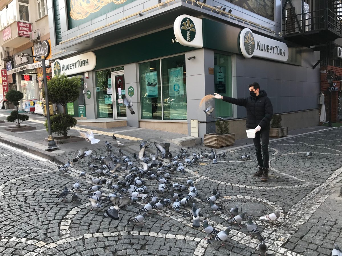 Covid-19 Salgınına karşı aldığımız tedbirlerin yanı sıra, Sokağa Çıkma yasağı dolasıyla dışarı da yaşam mücadelesi veren Can Dostlarımızı da (Köpek,Kedi,Güvercin) İhmal etmiyoruz. Şehrin belirlenen yaklaşık 25-30 noktasında Can Dostlarımıza besleme yapmaya devam etmekteyiz.
