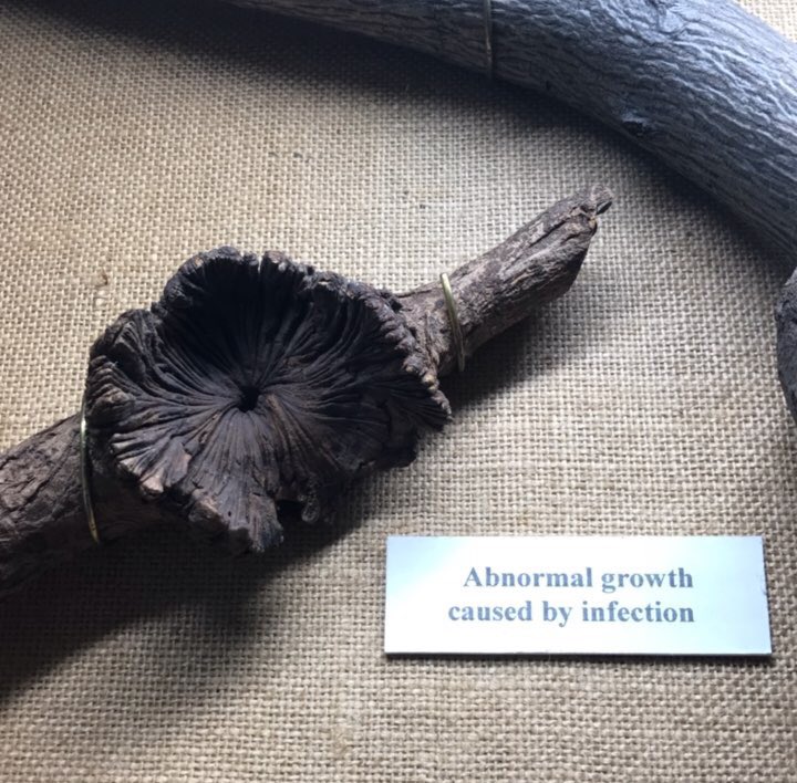 Maybe I’m the only one that has pictures of this?