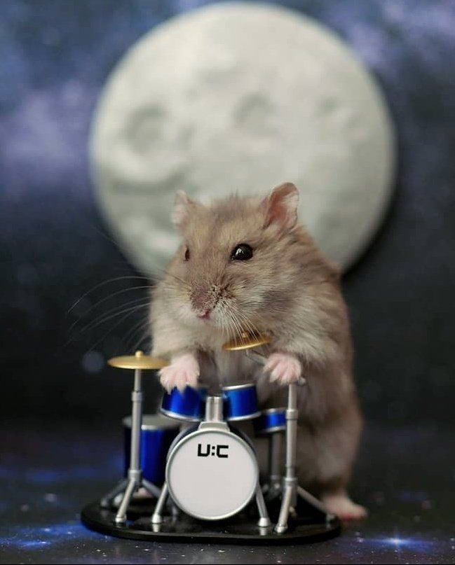 Moon drummers