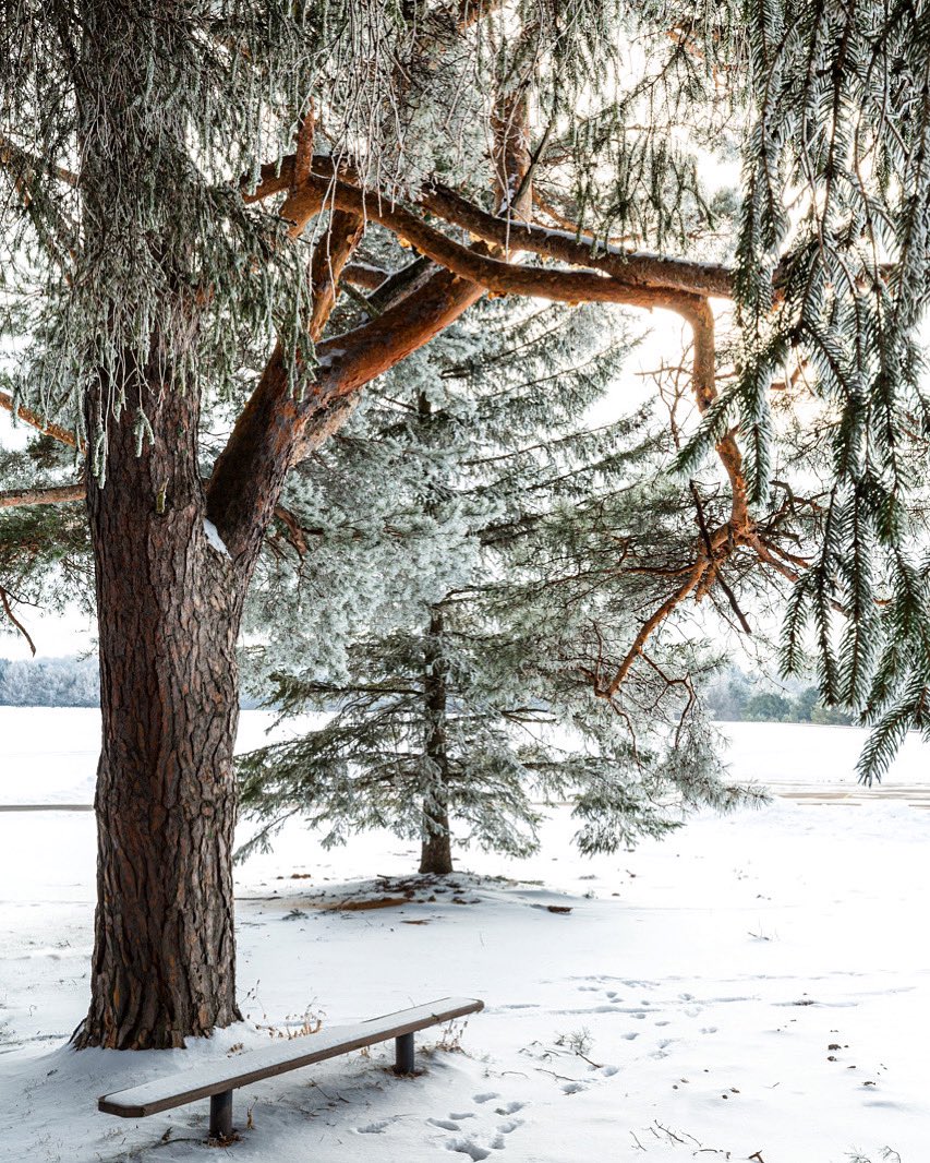 ✨🌲Happy New Years 2021! Felt good just to get outside for the sake of being outside.
☺️
Hope everyone can find a way through the darkness toward the light. Better times are ahead! 🤞
.
.
.
#wisconsin #nature #landscapephotography #rhinelanderwi #upnorth #northwoods #optoutside