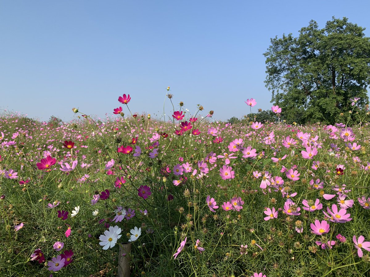 99Hadim's tweet photo. #정인아_미안해 https://t.co/gqasM4UDbs
