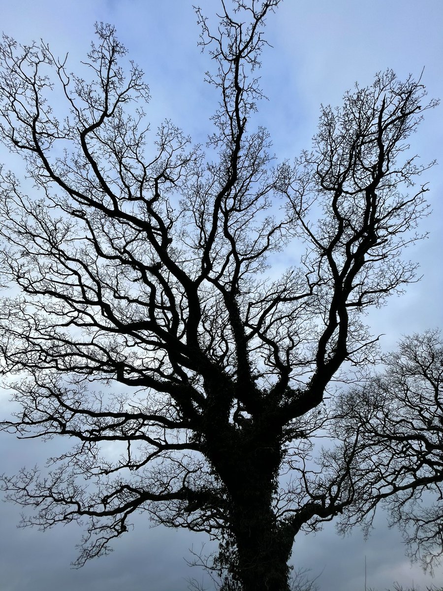MissKMcD's tweet photo. Beautiful wander through #Doynton earlier ... #teacher5aday #notice #nature https://t.co/Yh6KEJE7l3