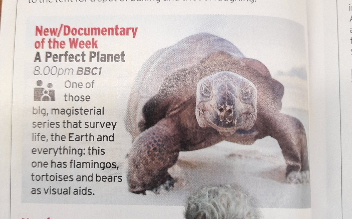 WezTucker's tweet photo. @GarethBrookman I know the darts on & footy but dont forget to press record or catch up on new #Attenborough series tonight .Saw it in mag while out & about & always a top watch. #Legend #SirDave #APerfectPlanet
@bluebirdchapo @bert33uk @hillbillys22 ? https://t.co/GhdTqdpEHB
