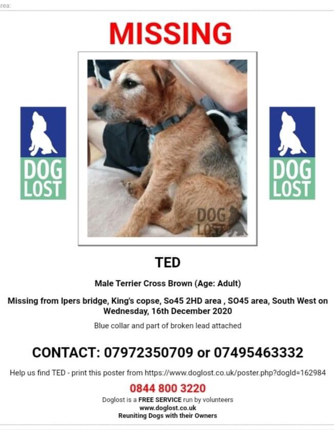 Find Macy tweet media