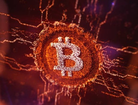 CryptoSwan!’s pics and videos