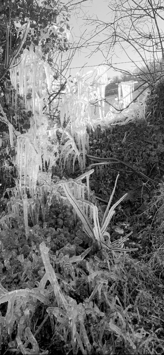 rayjcarroll's tweet photo. A leaking tap π¦ for the horses caused this lovely #icestructure https://t.co/8izAGOrht5