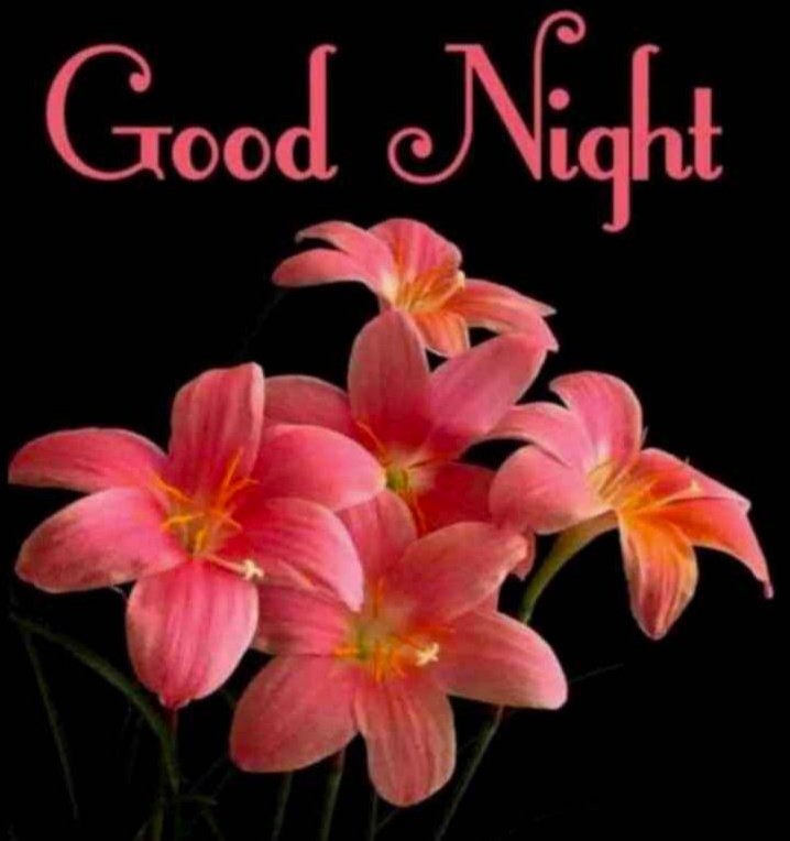 prakashthanga31's tweet image. Good night sweet dreams my lovely friend&apos;s 😴😴😴😴
#wealwayssupportfarmers 
#goodnight