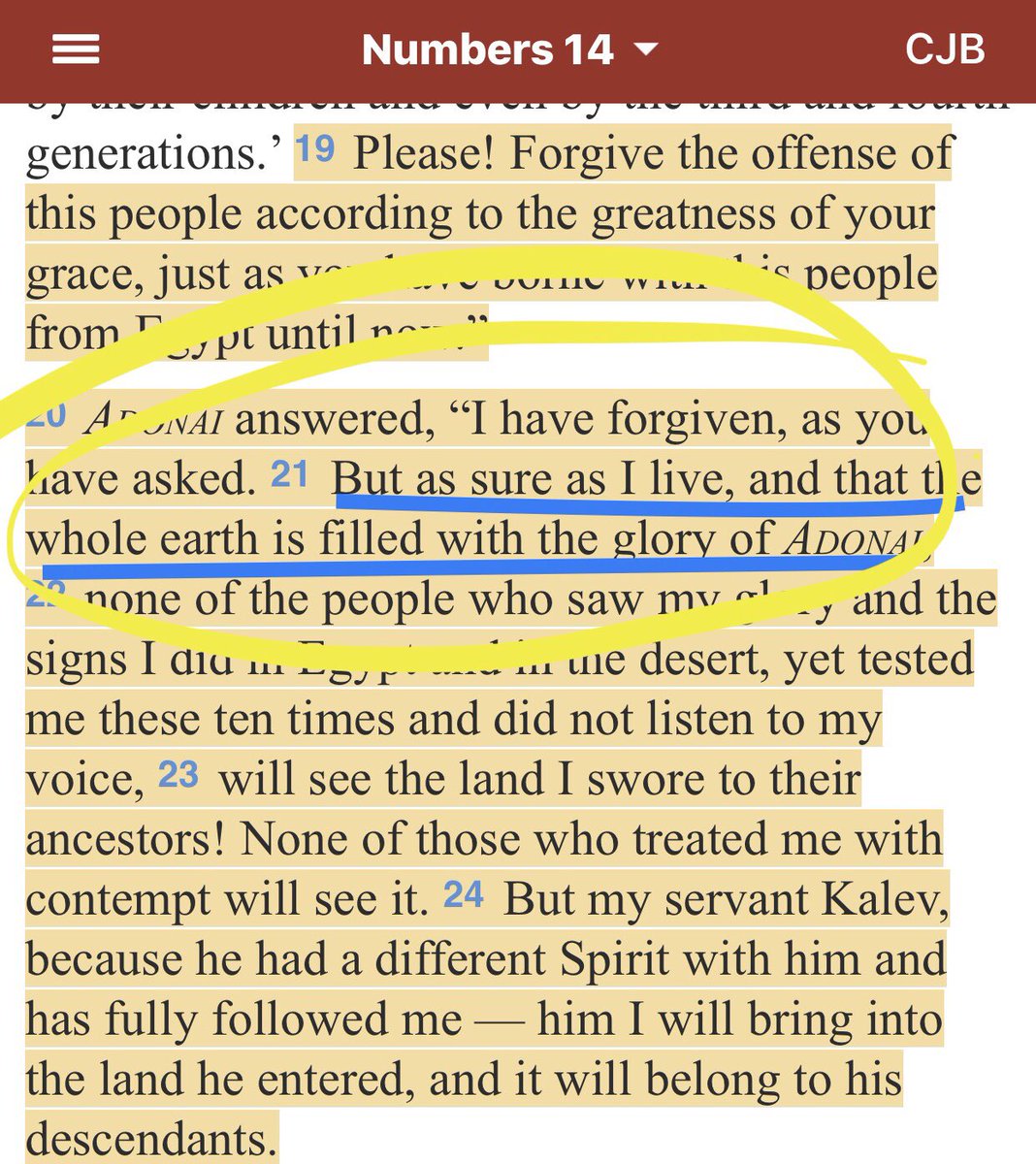 OpenOurEyesYHVH's tweet photo. Any Creation Scientists? You know, explaining the Spiritual Laws that are More Real than Natural Laws?
I want to learn more about our New Creature in Scientific Light :) #PseudoscienceReligion extinguishes the flames of our Power! https://t.co/cYgoavoTy7