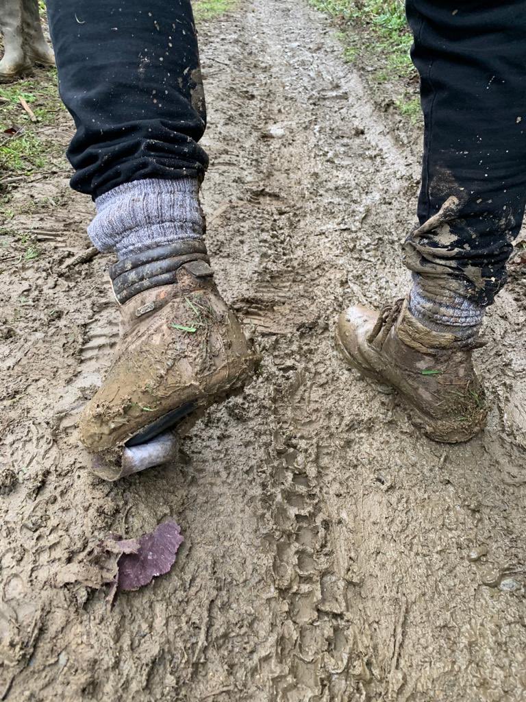 stuloughrey's tweet photo. Can’t say I’ll ever be buying another pair of @MountainWHouse hiking boots. After 3 walks and halfway through a 6mile today....🤦‍♂️ On a slightly more positive note @LoveWilko bags for life are top notch! https://t.co/F259HIiQgy