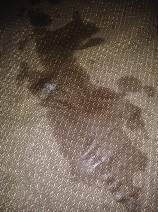 Cum see why I'm in the top 22% of onlyfans   Link below https://t.co/95r7F4d6sc<a href="/tag/queer"class="tags"><span>#queer</span></a><a href="/tag/pee"class="tags"><span>#pee</span></a><a href="/tag/wetting"class="tags"><span>#wetting</span></a><a href="/tag/piss"class="tags"><span>#piss</span></a><a href="/tag/omorashi"class="tags"><span>#omorashi</span></a><a href="/tag/onlyfan"class="tags"><span>#onlyfan</span></a>