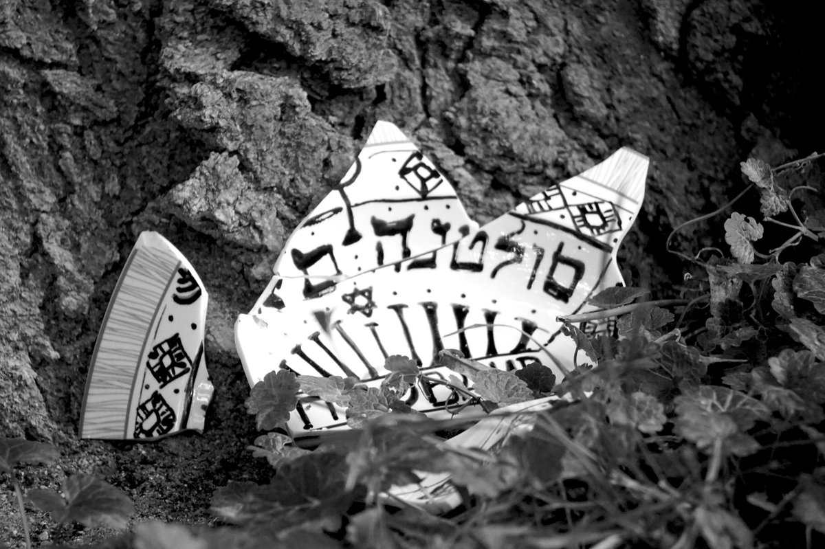 Rulo de viaje tweet media