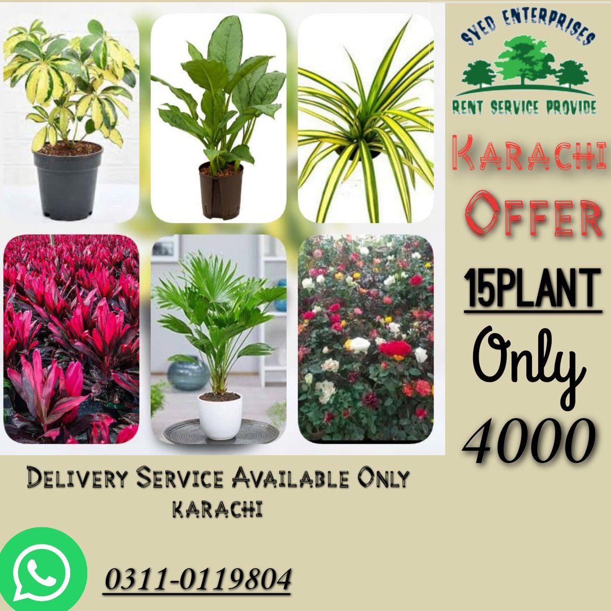 Karachi Plant (KarachiPlant) Twitter