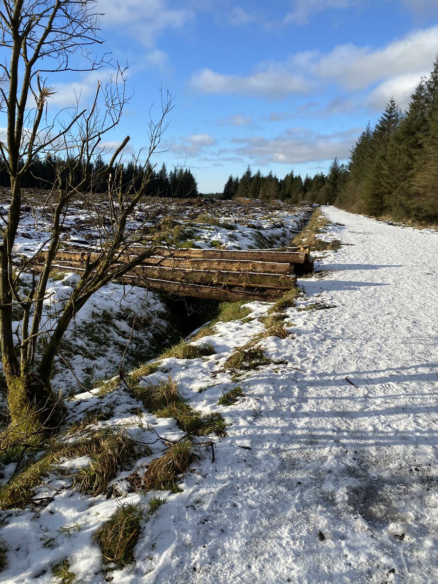 GailNeill's tweet photo. New year, new trail - Ballyboley forest 🐶 ❄️ 🥾 #larne #killylane https://t.co/hvKczNKf4T