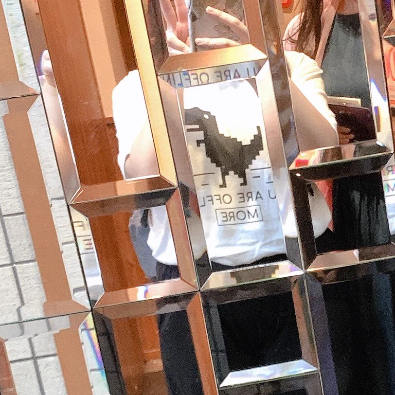 ちなみに私は今年の夏、ネットに繋がらない柄Tシャツを着てました。可愛いのでおすすめだよ。  