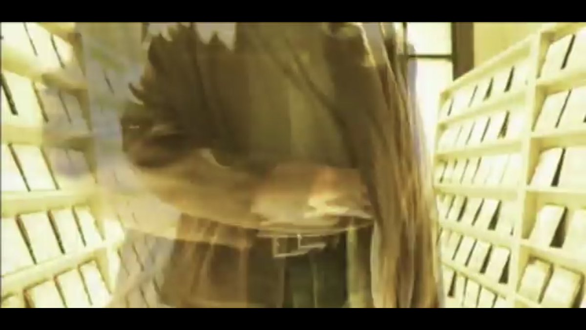 acciodiangelo's tweet image. ti ricordi di questo filmato e hai ancora ansia a pensarci o sei una persona normale?