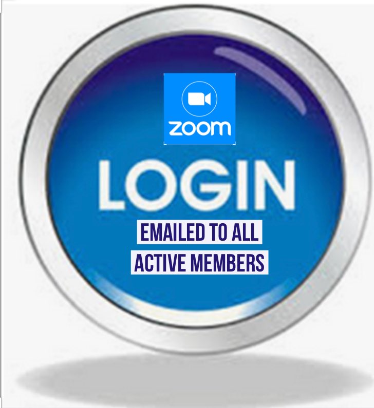 ilija salerno (@ilijasalerno) on Twitter photo 