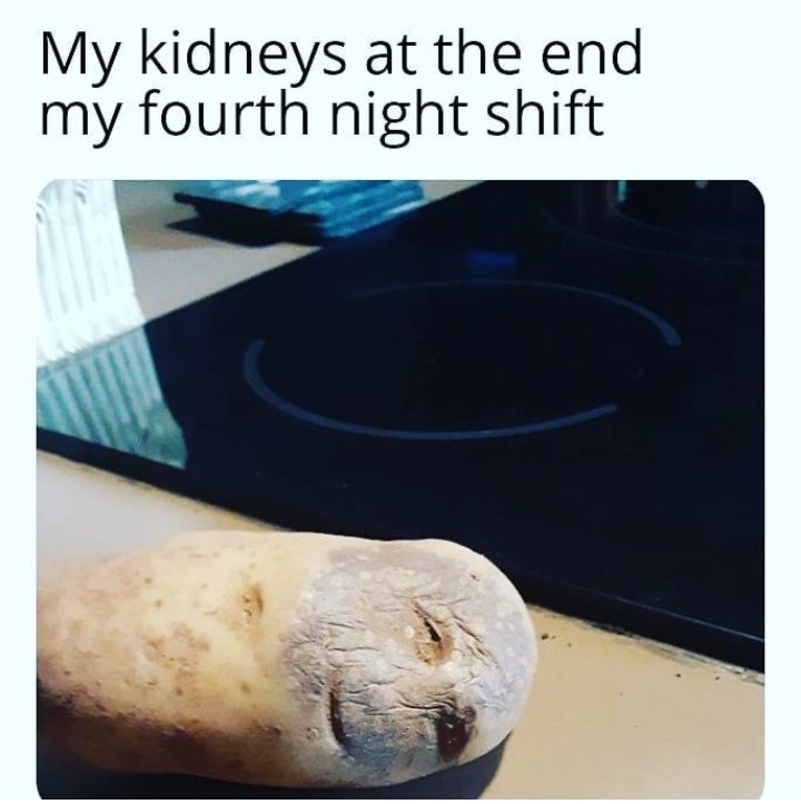 dexomethomeme's tweet photo. Hope all you cool cats and kittens are staying hydrated 💦 

#MedEd #memes #medicalmemes #nhs #hospital #JuniorDoctors #JuniorDoctor #medicine #medicalschool #surgery #medtwitter #MedStudentTwitter #DOCTORS https://t.co/nhRsyLPP4Z