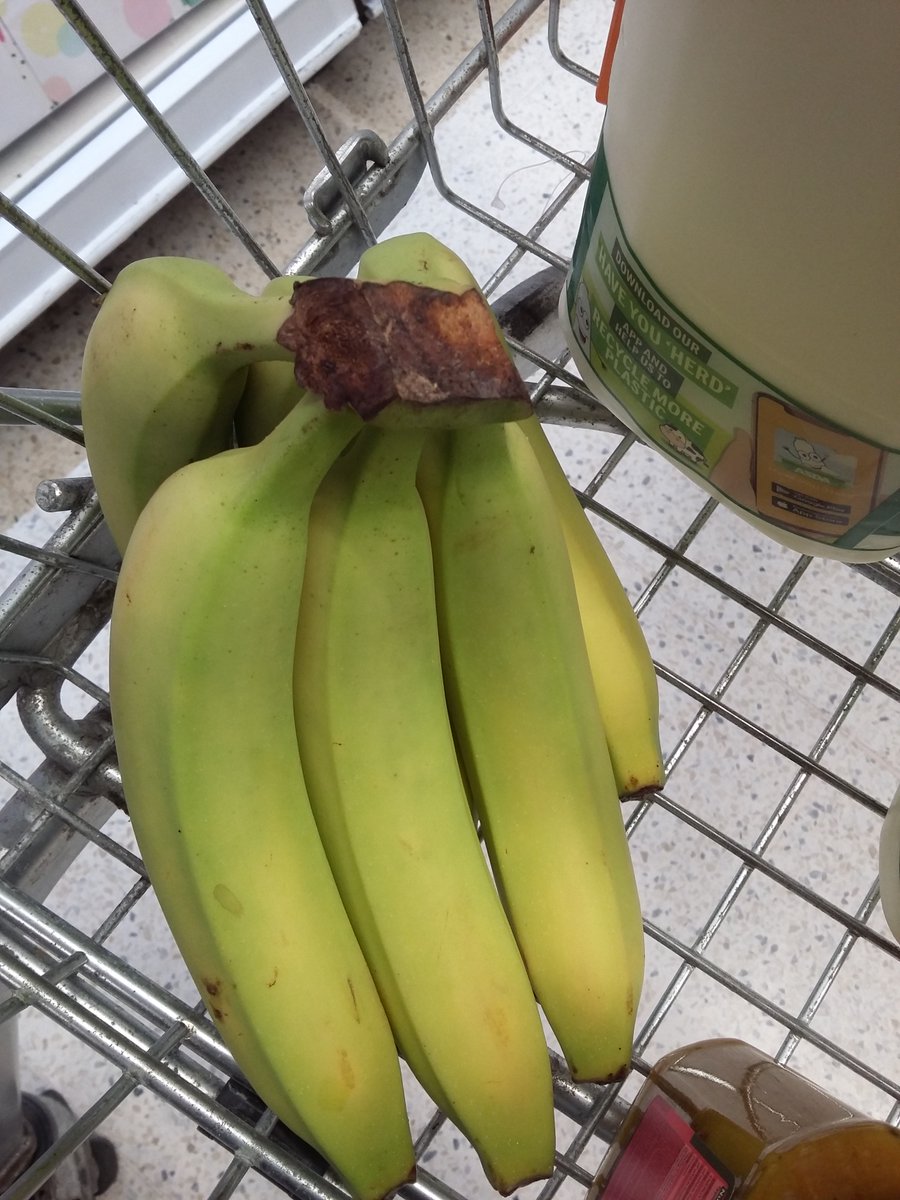 EmbarrassedBrit's tweet photo. I'm OUTRAGED!! Absolutely OUTRAGED I tell thee...

I went to the supermarket today.. yeah
Bought some bananas.. yeah

And they were THE SAME ****ING SHAPE! 🤬

Honestly, I'm beginning to feel like brexit was a con! https://t.co/1FwRSZONvZ
