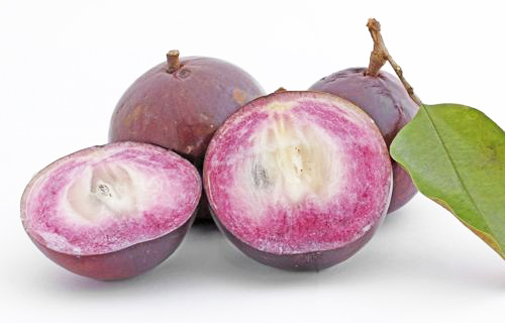 каймито фрукт. Chrysophyllum cainito. каимито звездчатое яблоко. звёздное яблоко (каймито). звездное яблоко.