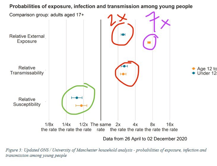 2) This  report was done on Dec 17th, released on Dec 31, based on data before Dec 2nd. In other words, before new variant has dominated UK  in Dec. Good news is that kids are less susceptible—less likely to contract virus in the household.  #COVID19 https://www.gov.uk/government/publications/tfc-children-and-transmission-update-paper-17-december-2020