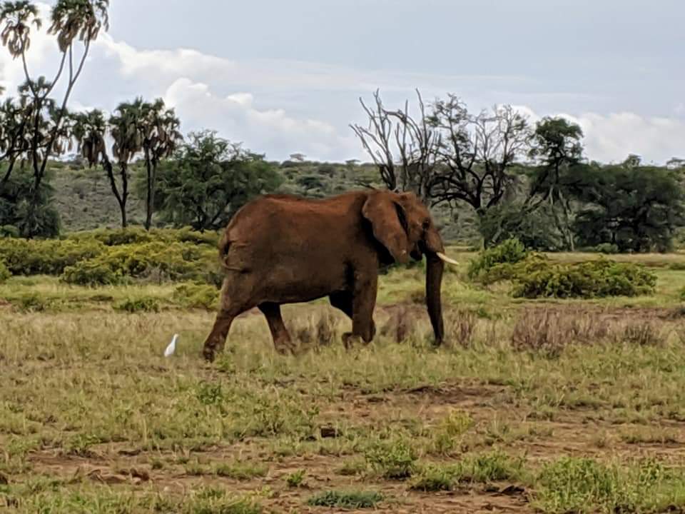 Our offices are now open 24/7 with new ideas for your next adventure.
We don’t want you to miss out on your next trip. That’s why we offer Reserve Now &amp; Pay Later, so you can secure your spot now without being locked in. Plus, we offer free 24-hour cancellation in case your plan.