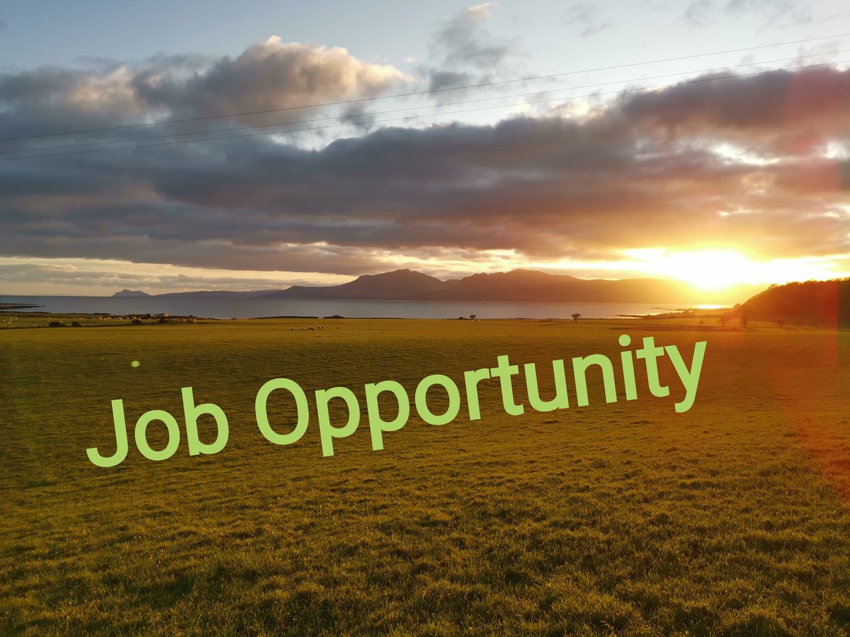 scalpsiefarm's tweet photo. Job Opportunity for a shepherd/ess at Scalpsie farm. For more details visit https://t.co/uwfwCCNWk5 https://t.co/fRJ8GLacMD