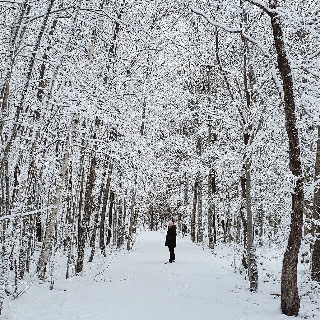 keepexploringCB's tweet photo. Salmon Pools Trail this afternoon. Always beautiful but even more so in the snow βοΈ #WinterWonderland #SundayFunday #explorecbwinter #hikecapebreton #capebretonhighlands #parkscanada https://t.co/KpgwiCjntB