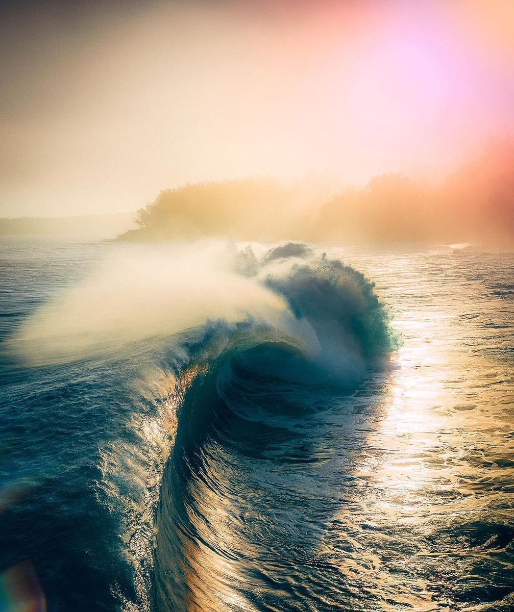 athsport_co's tweet image. How did you spend your first Sunday of 2021? bulimicbarbarian #athohana #teamath #athtrainingcenter