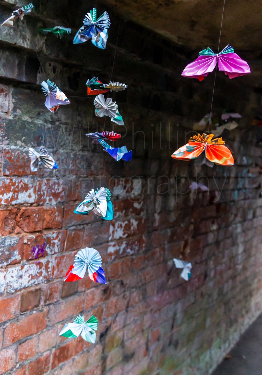 WPwarksTog's tweet photo. A nice addition to a murky underpass on today’s walk #Leamington #PaperButterflies https://t.co/wElcSGT44p