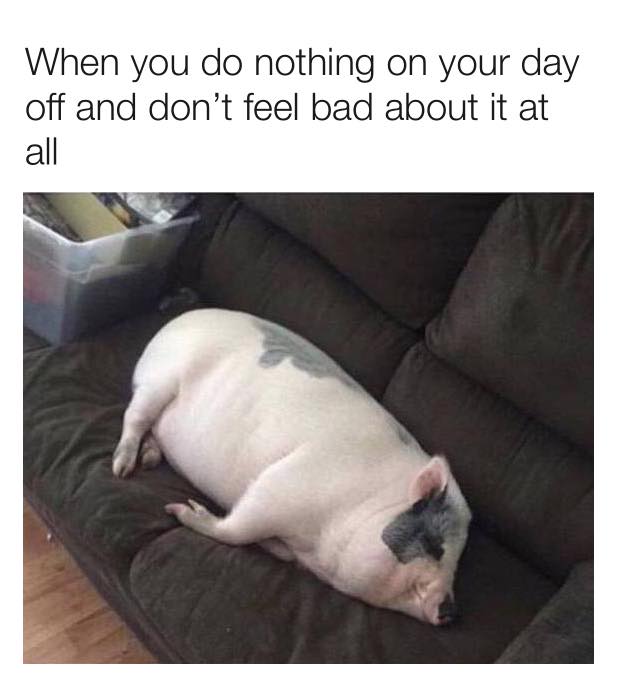 MensHumor's tweet photo. Sunday Vibes. https://t.co/FaFvASR3wV