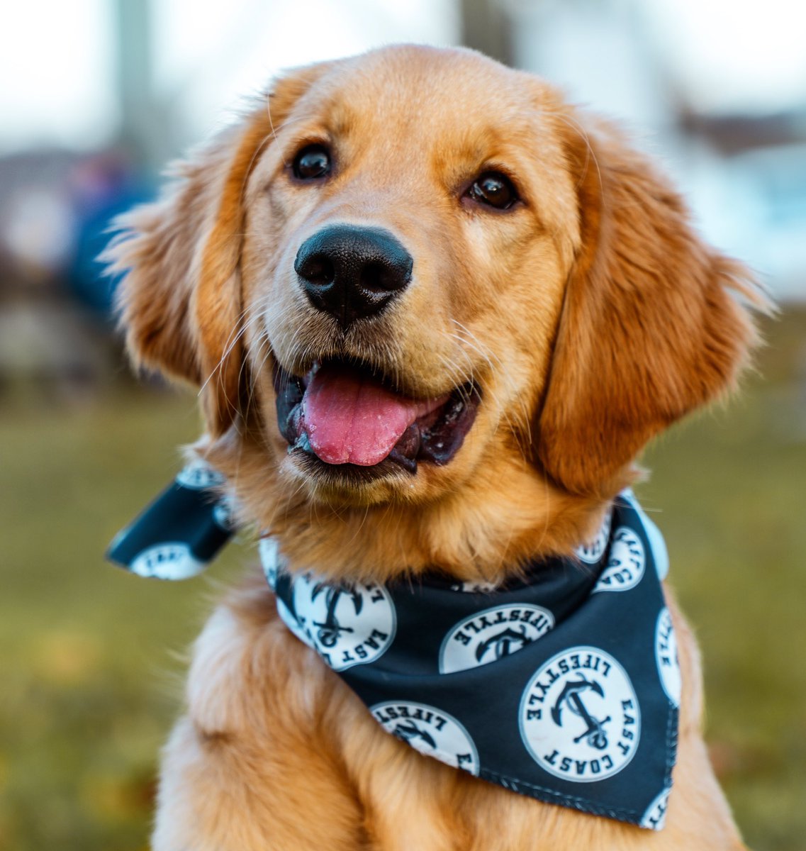 EASTCOASTLIFEST's tweet image. Last chance to save 30% off everything online with code BOXINGDAY30 🚨 EASTCOASTLIFESTYLE.com 

RETWEET or REPLY your dogs name to be entered to win a bandana! ⚓️🐕