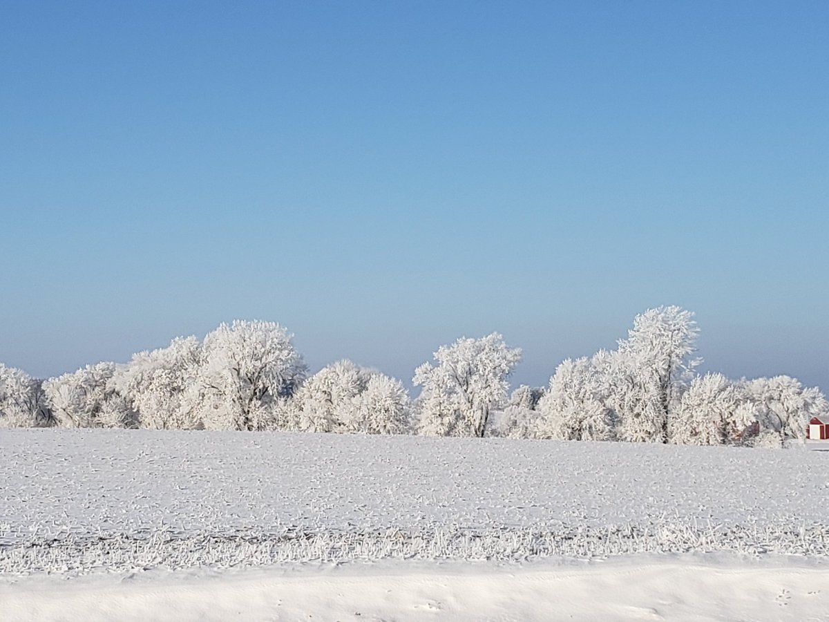 JanetETidman's tweet photo. God sure painted a breathtakingly beautiful picture this morning!! Beautiful hoar frost in north central Iowa. #GodFirst #iawx #NaturalBeauty #Iowa #kcci #whotv #weareiowa #FarmLife https://t.co/9vwH4NDufC